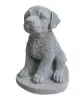 Product image 4 of the product “Milo - Seated Dog, 18cm H | cast stone ”